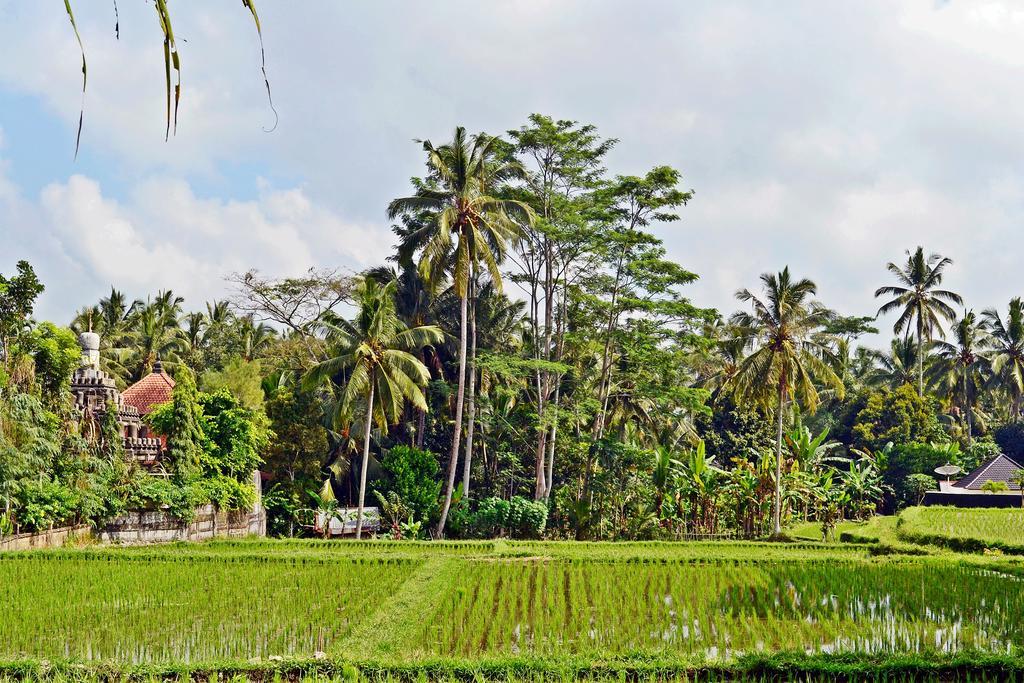 Ubud Kartini Hostel Exteriér fotografie