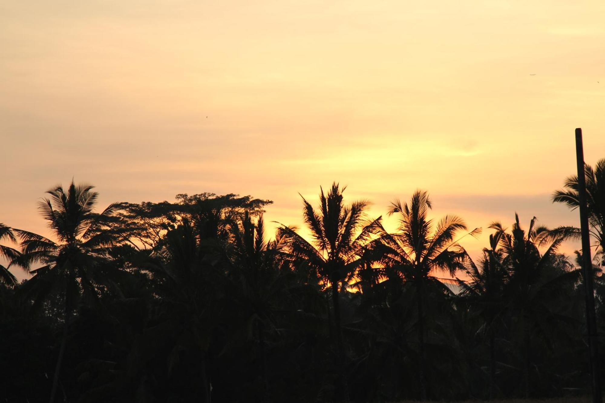 Ubud Kartini Hostel Exteriér fotografie