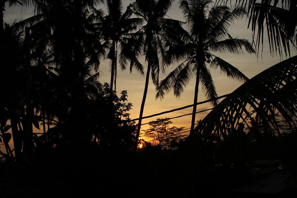 Ubud Kartini Hostel Exteriér fotografie