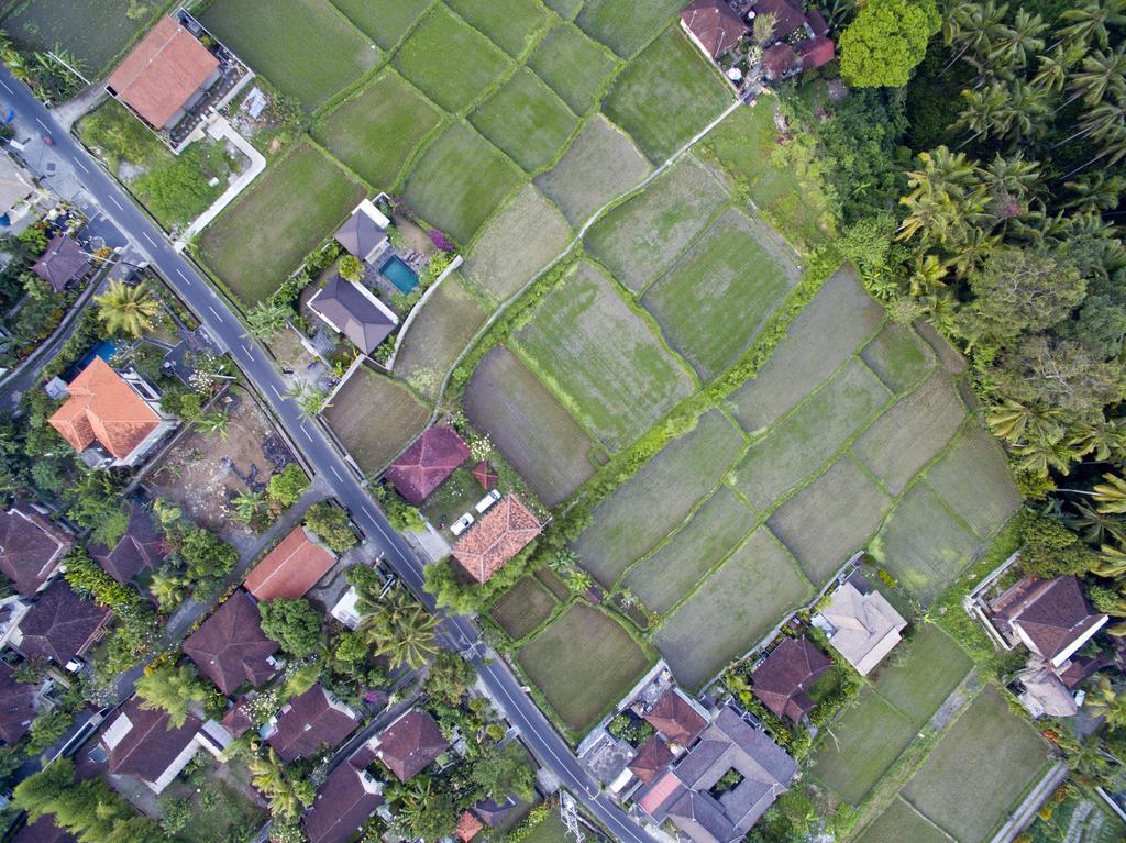 Ubud Kartini Hostel Exteriér fotografie